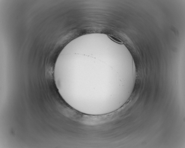 X0000114490045200911091058