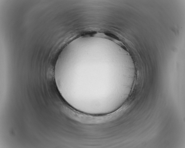 X0000114490048200911091058