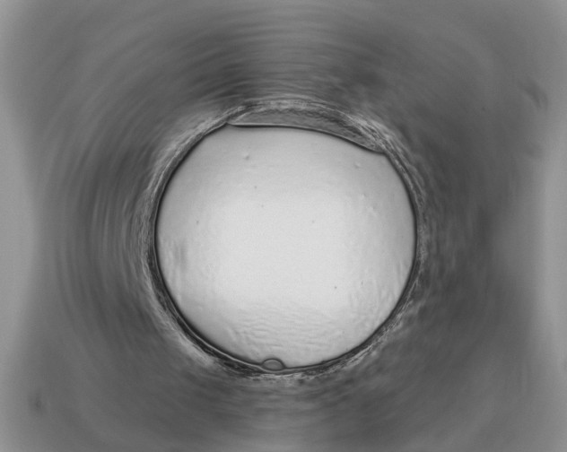 X0000114490049200911091057
