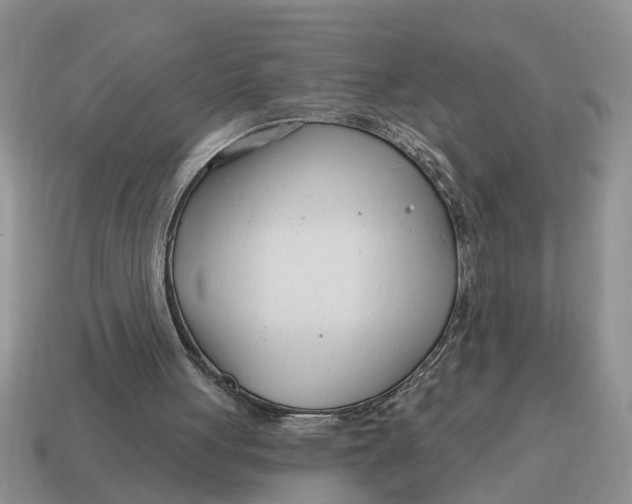 X0000114490051200911091057