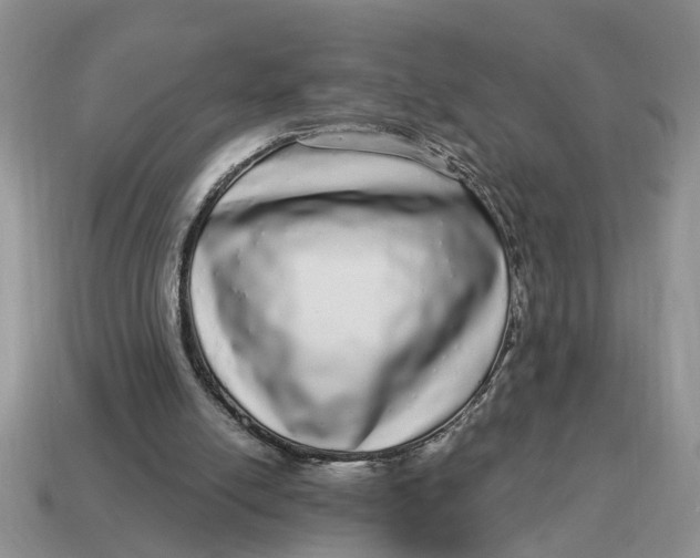 X0000114490054200911091057
