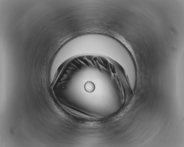 X0000114490057200911091057