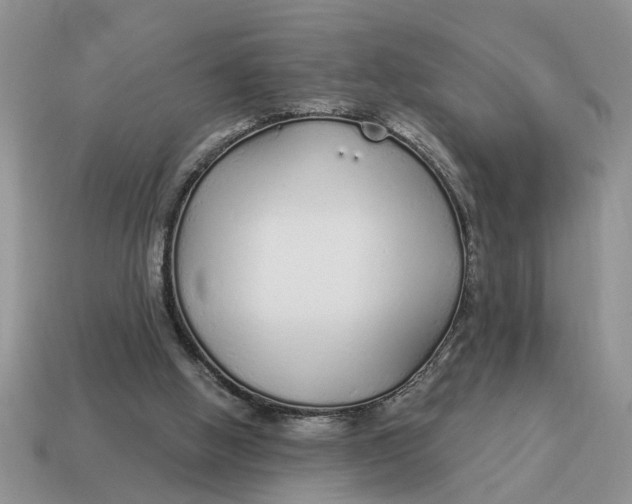 X0000114490058200911091057