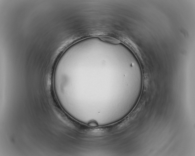 X0000114490059200911091057
