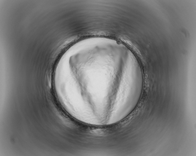 X0000114490062200911091057