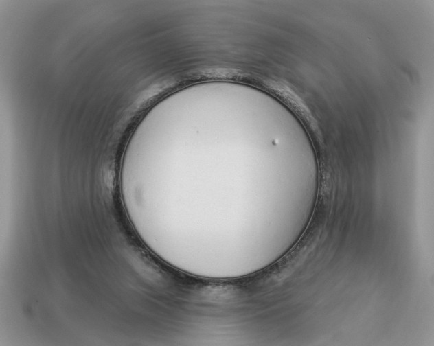 X0000114490063200911091057