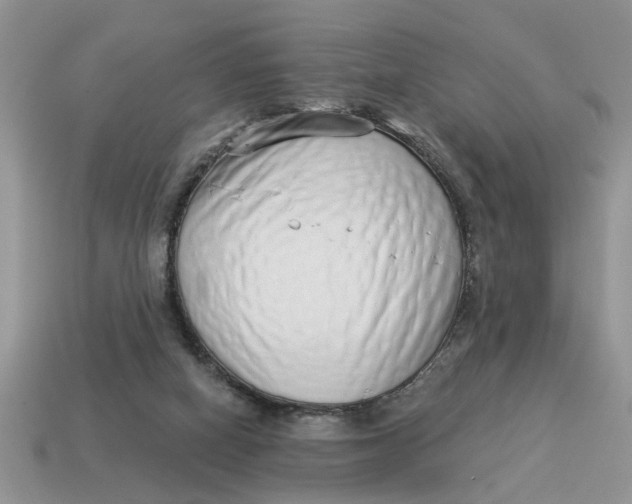 X0000114490066200911091057