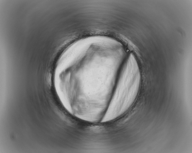 X0000114490067200911091057