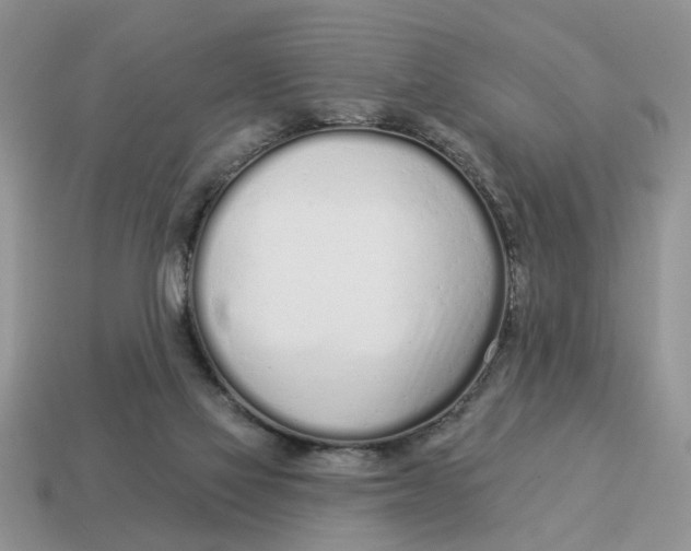 X0000114490069200911091058