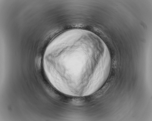 X0000114490070200911091058