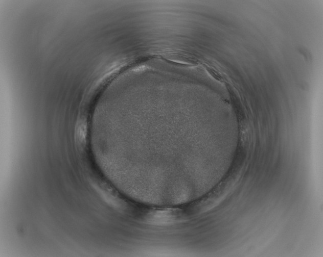 X0000114490072200911091058