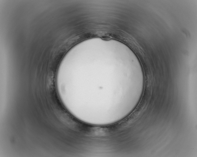 X0000114490073200911091058