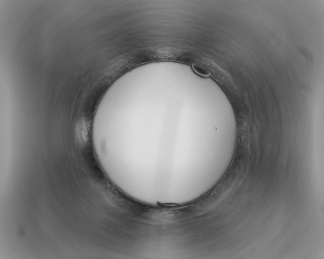 X0000114490075200911091058