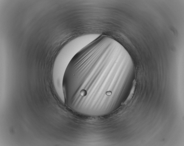 X0000114490076200911091058