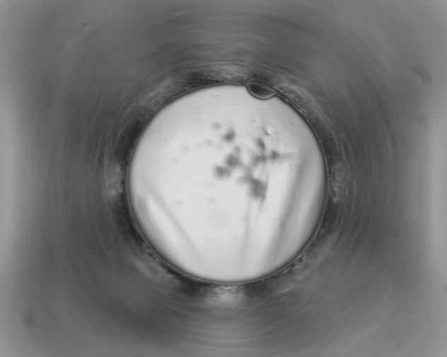 X0000114490077200911091058