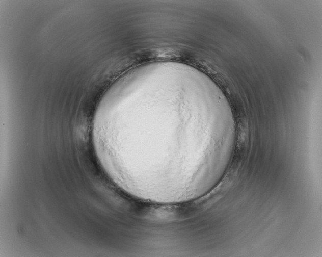 X0000114490078200911091058