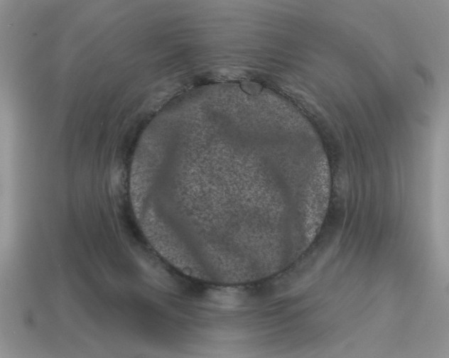 X0000114490079200911091058