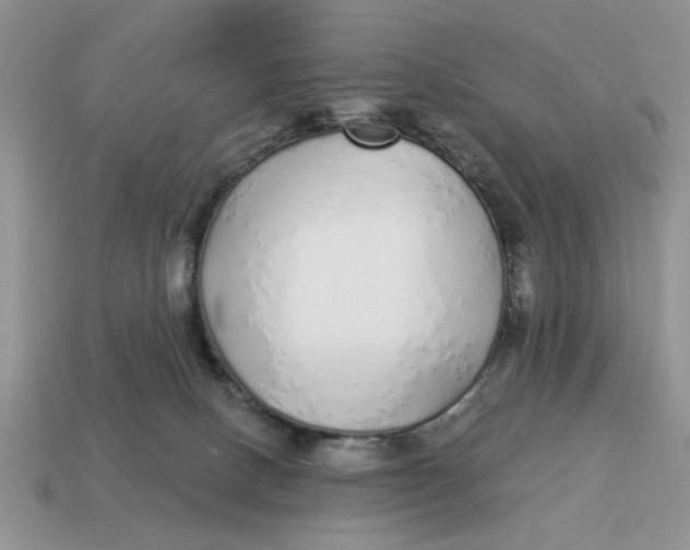 X0000114490082200911091058