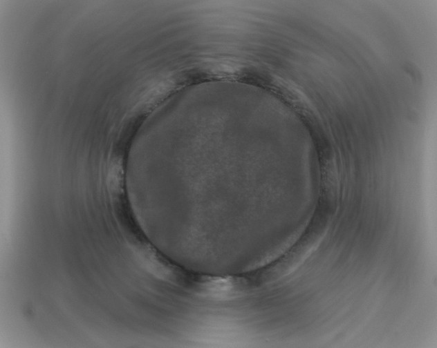 X0000114490083200911091058