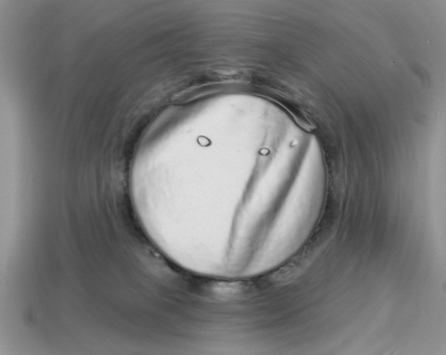X0000114490085200911091058