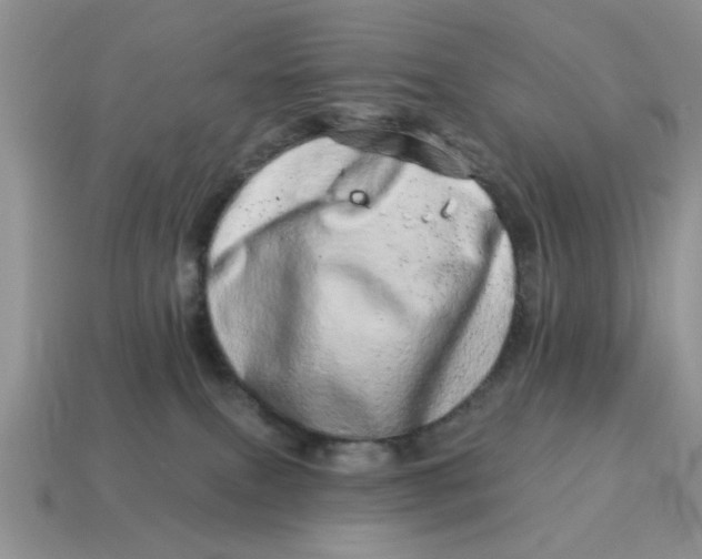 X0000114490087200911091058