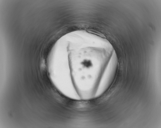 X0000114490089200911091058