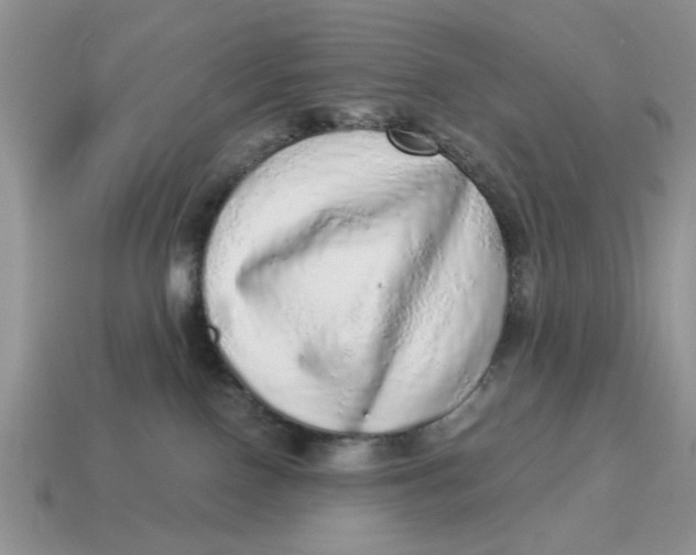 X0000114490090200911091058
