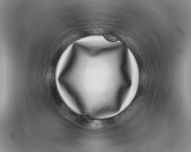 X0000114490091200911091058