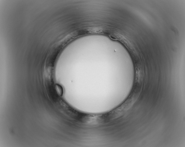 X0000114490093200911091058