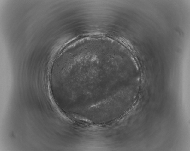 X0000114490097200911091057
