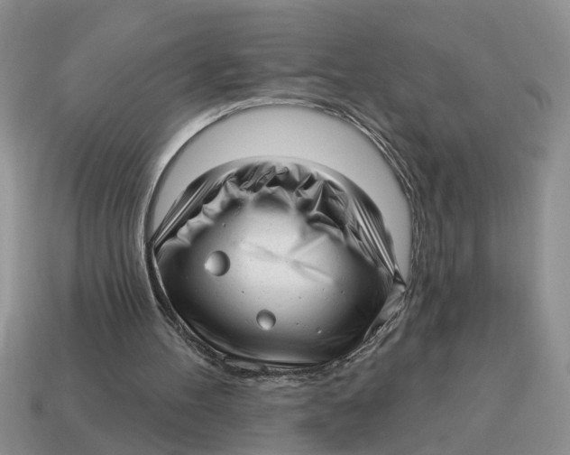 X0000114490100200911091057