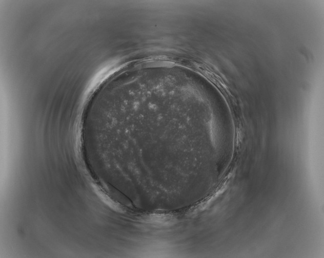 X0000114490101200911091057