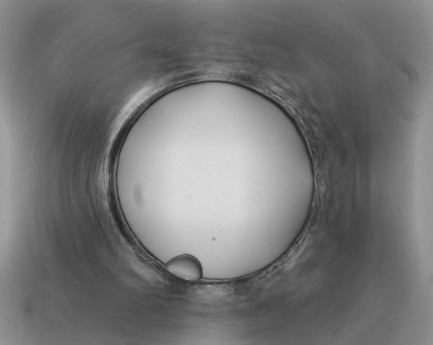 X0000114490102200911091057