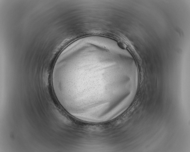 X0000114490106200911091057