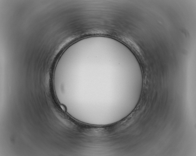 X0000114490108200911091057