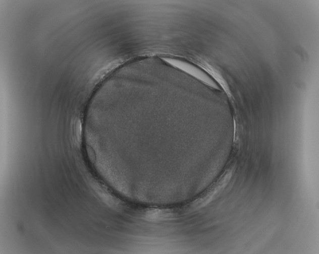 X0000114490109200911091057