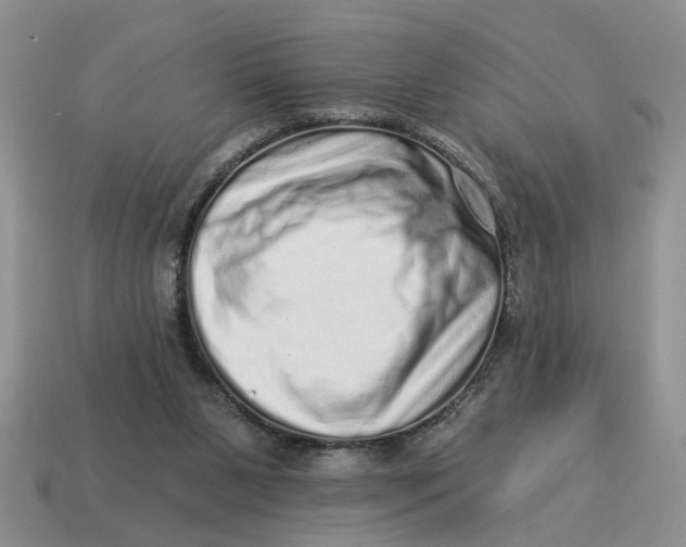 X0000114490111200911091057