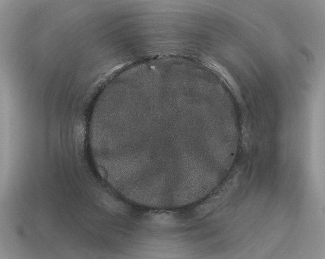 X0000114490113200911091057