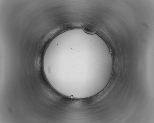X0000114490116200911091057