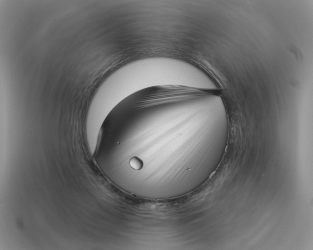 X0000114490117200911091057