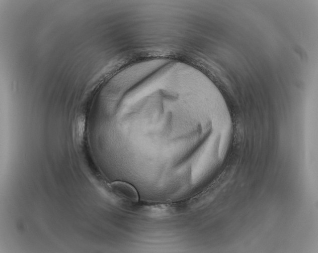 X0000114490118200911091057