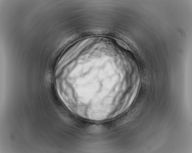 X0000114490119200911091057