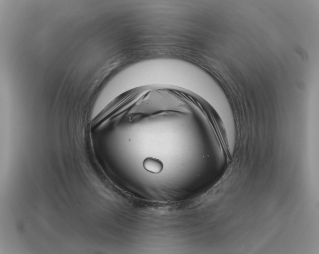X0000114490120200911091057