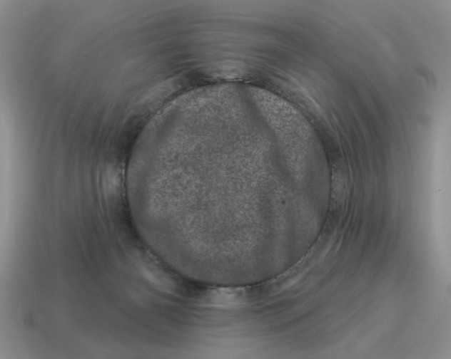 X0000114490126200911091057