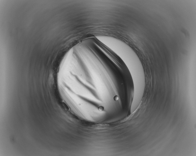 X0000114490128200911091057