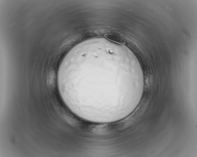 X0000114490132200911091057
