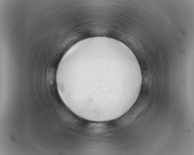 X0000114490133200911091057