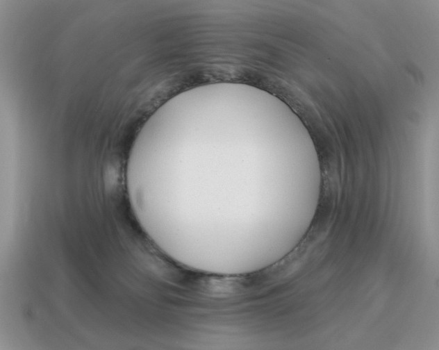 X0000114490134200911091057