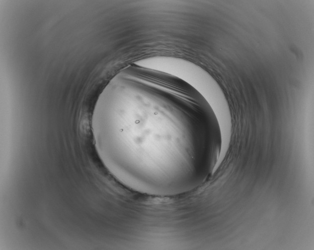 X0000114490137200911091057