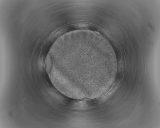 X0000114490140200911091057